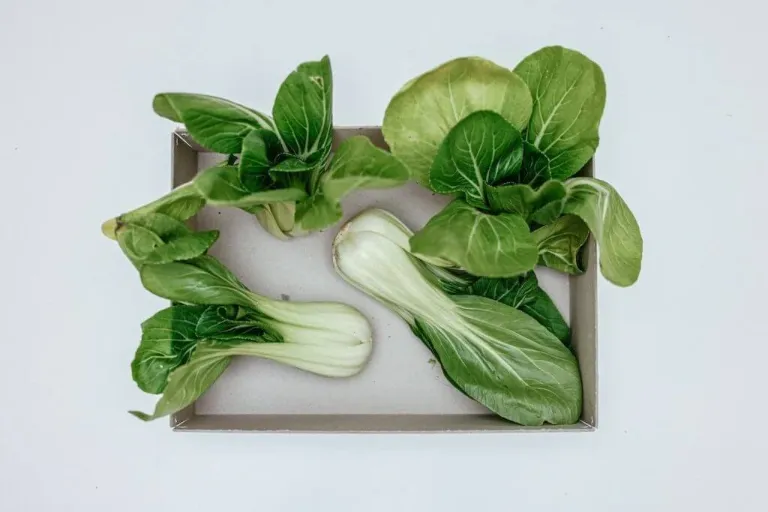 Co to jest Pak Choi?