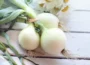 sadzenie cebuli na zimę