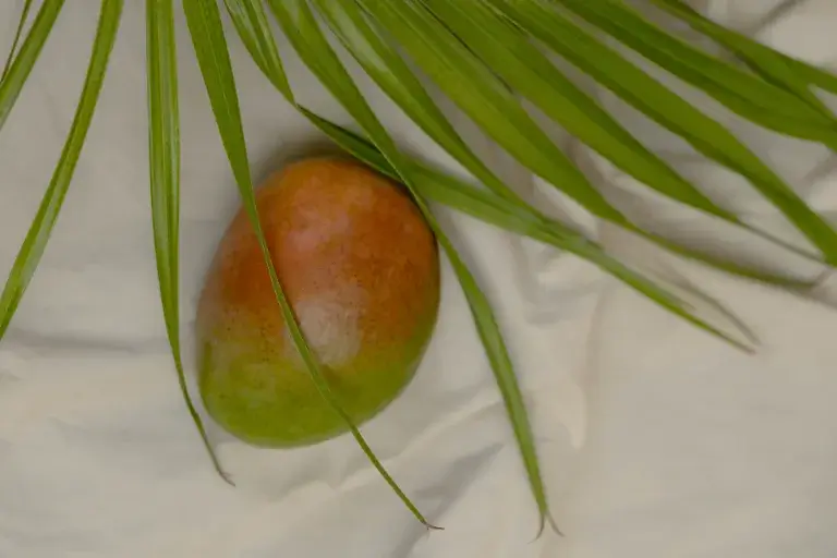 jak wyhodować mango z pestki