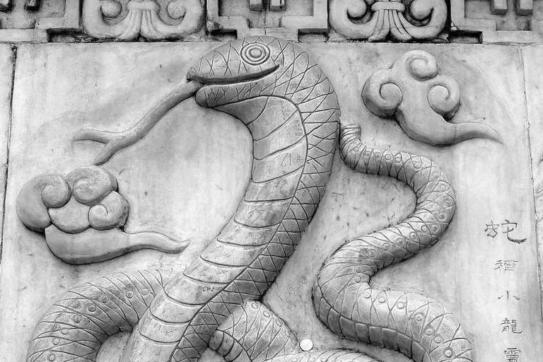 Chiński znak zodiaku Wąż