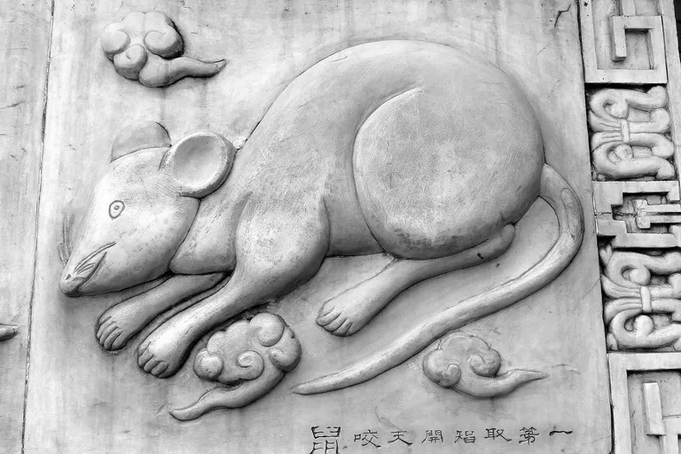 chiński znak zodiaku Szczur