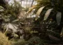 Ogrody botaniczne w Czechach