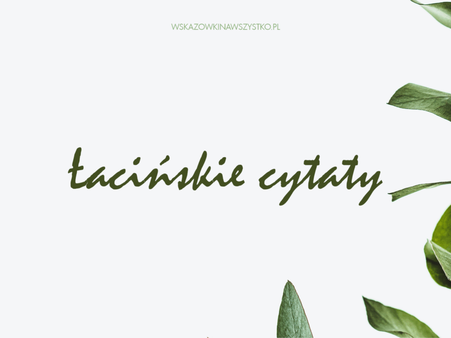 łacińskie cytaty