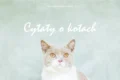 Cytaty o kotach