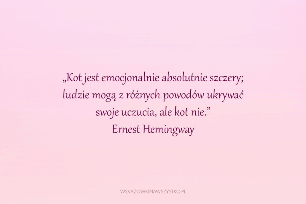 Cytaty o kotach i ludziach