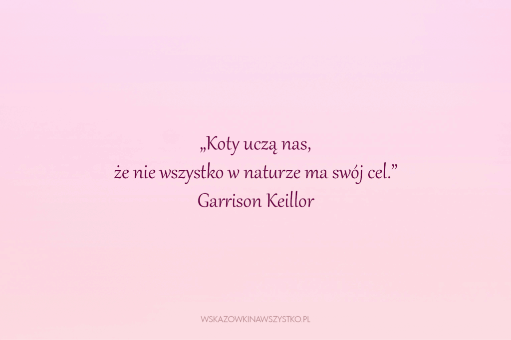 Krótkie cytaty o kotach