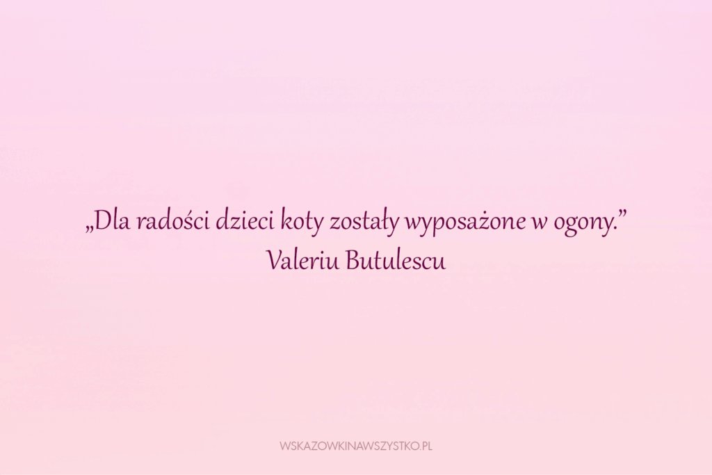 Śliczne cytaty o kotach