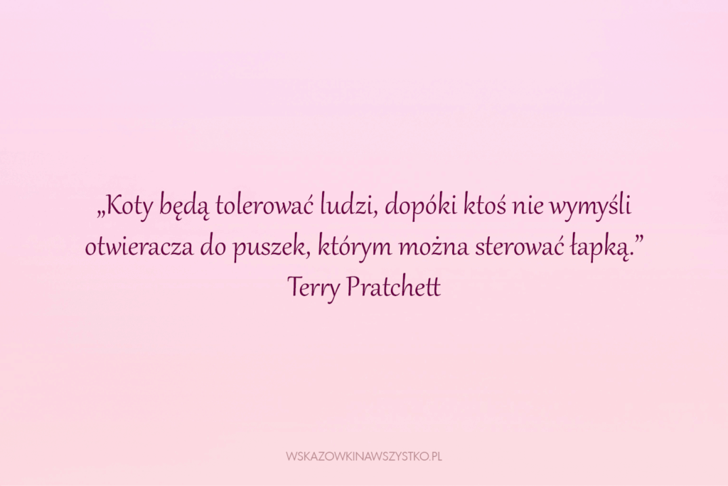 Śmieszny cytaty o kotach
