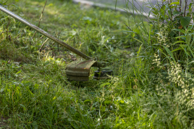Kompostowanie skoszonej trawy