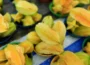karambola